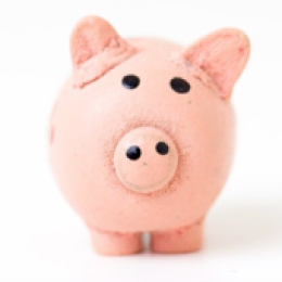 Image of Piggy Bank